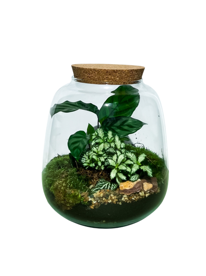 The ZenEarth Signature Terrarium Kit: Effortless Luxury You Create